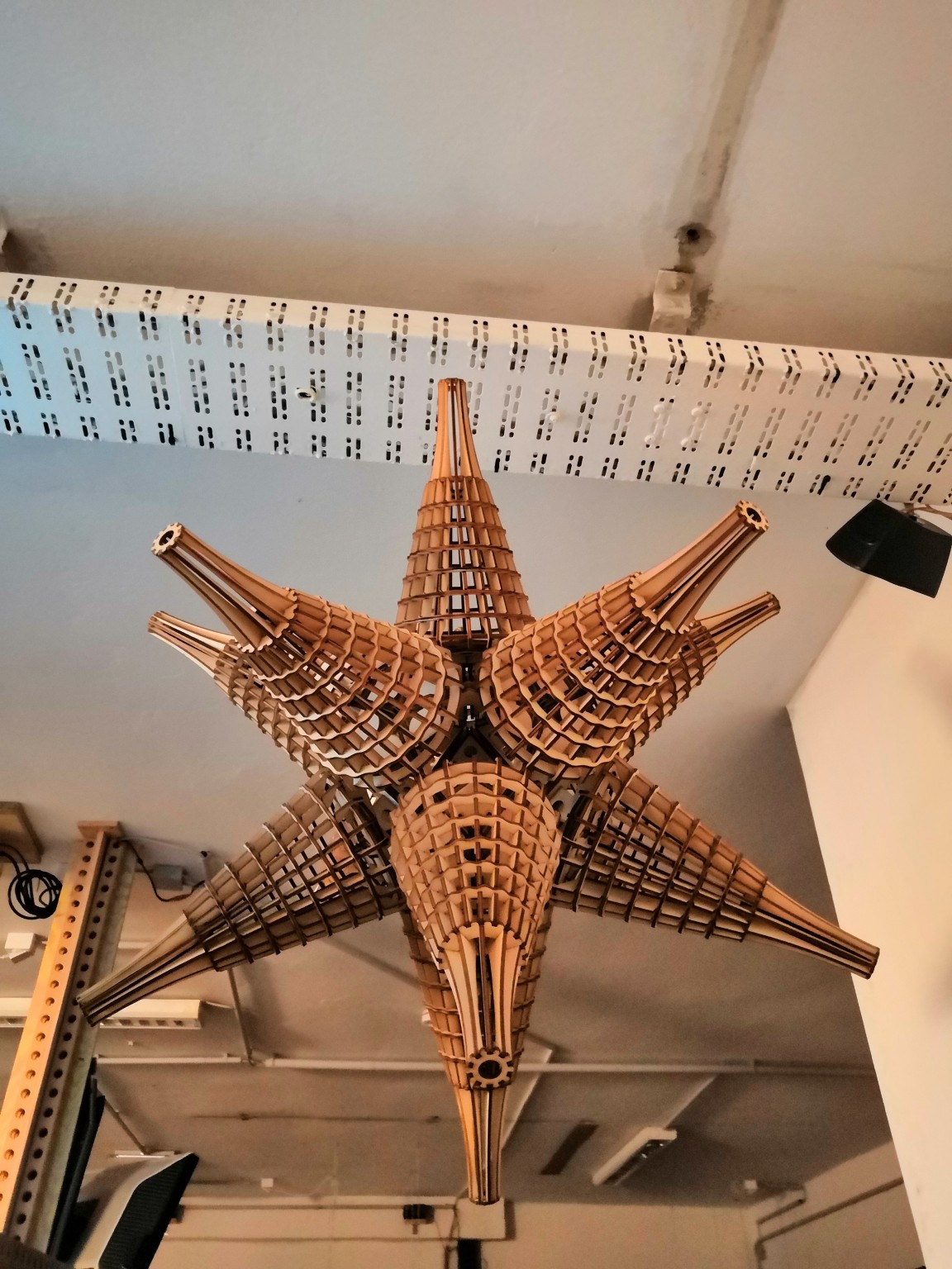 2017 - Igaleano Dodici Holzstern